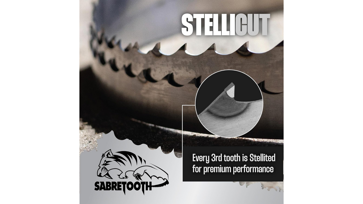 Hojas de sierra de cinta con punta StelliCut Premium