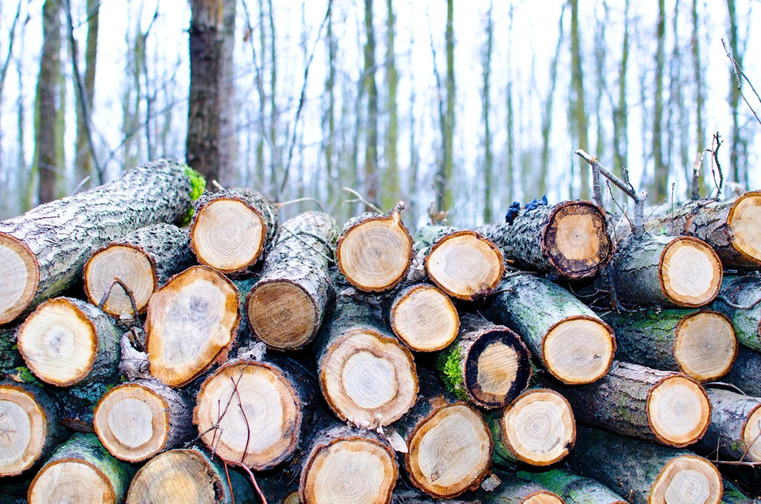 Minimal Impact Logging : How To Take The Trees You'll Use Without Damaging The Rest