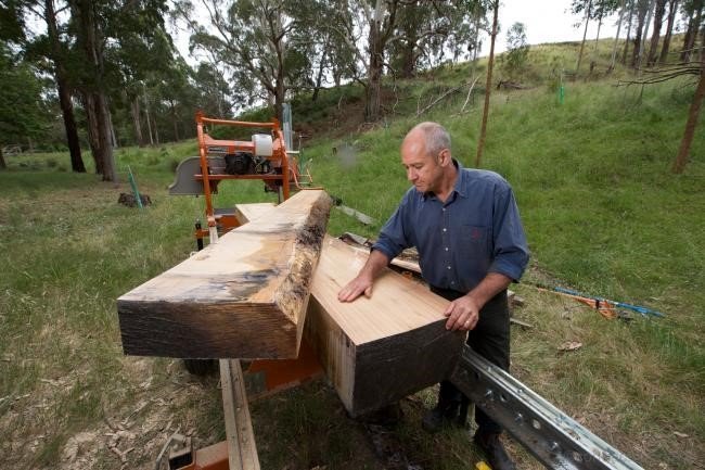 The New Science Of Harvesting Timber